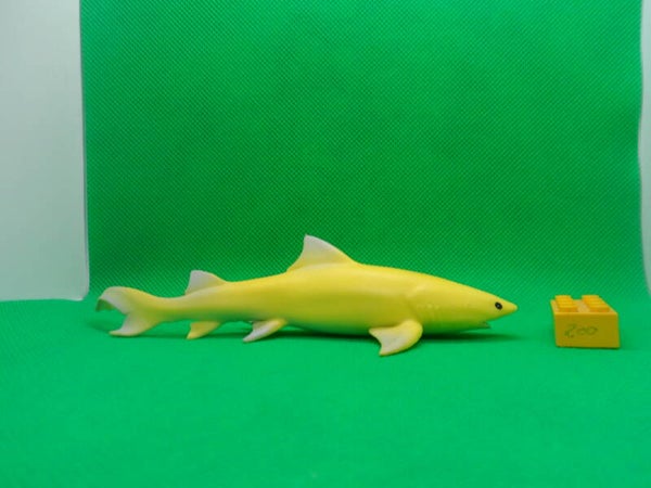 Blue Ocean Planet Wow  Hai  Zitronenhai  Negaprion brevirostris  tiburón galano  requin-citron  Lemon shark  Лимонная акула