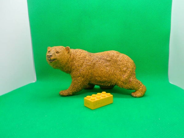 AAA  Grizzlybär Bär Grizzly bear  Ursus arctos horribilis  Grizzli  oso grizzly  Гризли