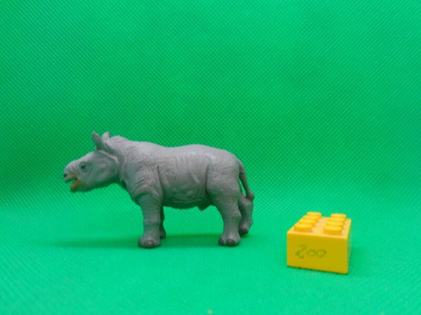 Collecta / Proton  Breitmaulnashorn- Kalb Nashornkalb White rhinoceros calf Ceratotherium simum juveline rinoceronte blanco cria Rhinocéros blanc  veau