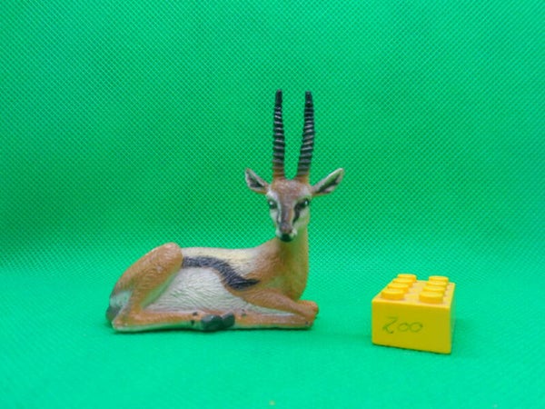Nayab  Thomson-Gazelle  Eudorcas thomsonii  Thomson's gazelle  Gazelle de Thomson  gacela de Thomson   Газель Томсона