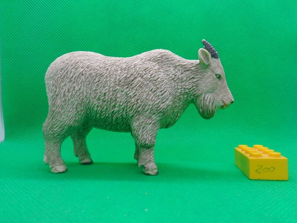 Toy Major  ( T.M. )  Schneeziege  Mountain goat  Oreamnos americanus  Chèvre des montagnes Rocheuses  cabra blanca  Снежная коза