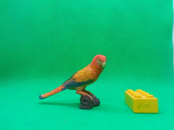 Nayab  Scharlachara Ara Papagei Ara macao guacamayo escarlata Scarlet macaw Ara rouge Красный ара 緋紅金剛鸚鵡
