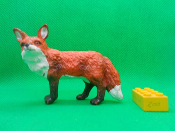 ELC  Fuchs Rotfuchs Red Fox Vulpes vulpes Обыкновенная лисица zorro común Renard roux