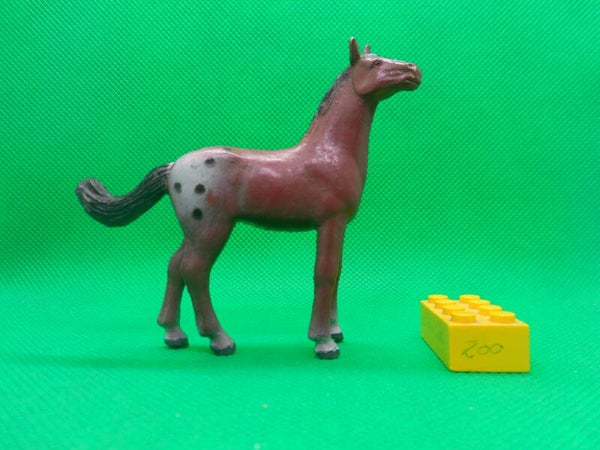 Toy Major  ( T.M. )  Appaloosa Stute mare Pferd foal horse Caballo pío potro Pie poulain  Аппалуза