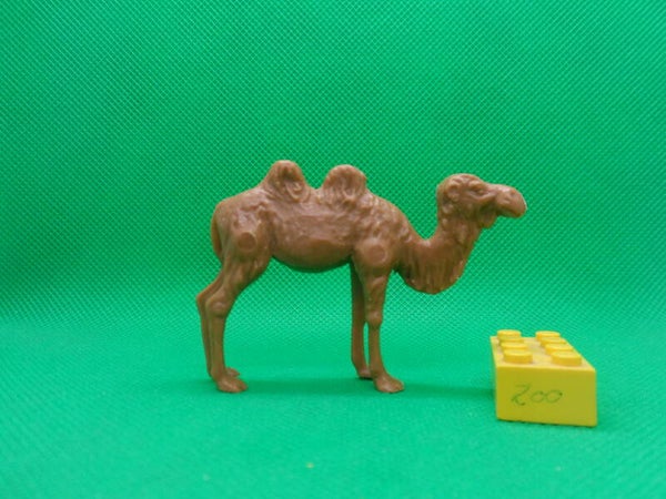 Heinerle Manurba Domplast  Trampeltier Kamel  stehend  bactrian camel  camélidés Chameau de Bactriane  camello bactriano  Двугорбый верблюд  2