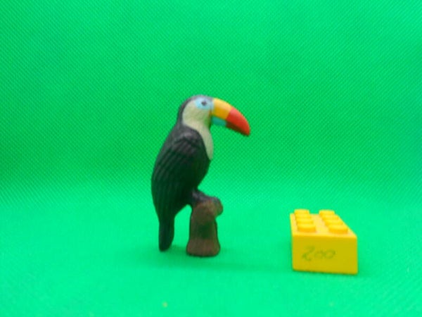 K&M Weißbrusttukan Tukan  Ramphastos tucanus  White-throated toucan  tucán pechiblanco  Toucan à bec rouge  Белогрудый тукан