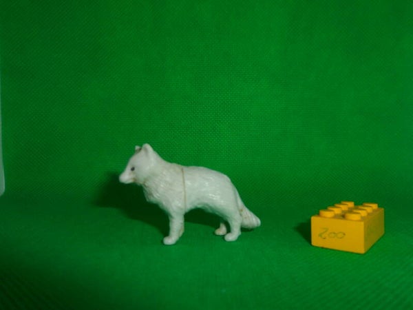 Ferrero Natoons Kinderüberraschung   Polarfuchs Eisfuchs Arctic fox zorro ártico Vulpes lagopus Renard arctique
