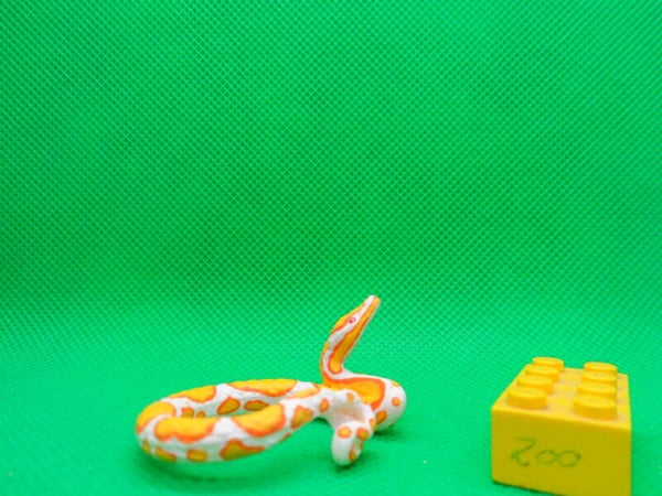 Rainbow Capsule  Netzpython  Python reticulatus   Reticulated python   python réticulé   pitón reticulada   Сетчатый питон
