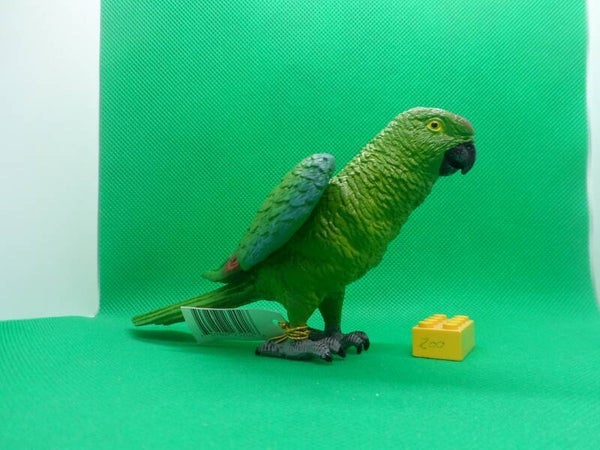 AAA Grünwangenamazone Papagei   Amazona viridigenalis  Red-crowned amazon  loro tamaulipeco   Amazone à joues vertes   Зеленощёкий амазон