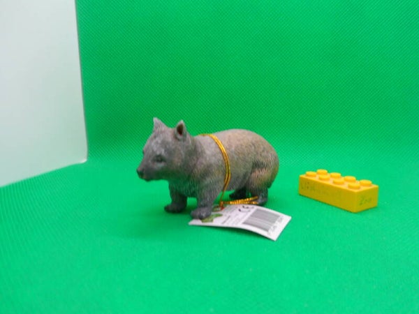 Southland Replicas Südlicher Haarnasenwombat Wombat  southern hairy-nosed wombat   Lasiorhinus latifrons   Wombat à nez poilu du Sud   wómbat de hocico peludo sureño  毛鼻袋熊