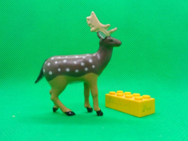 K&M  Hirsch Damhirsch   Fallow deer  Dama dama  Daim d’Europe  gamo común   Лань   黇鹿