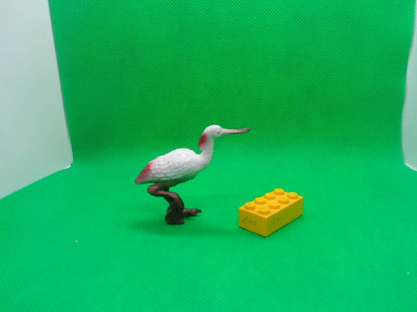 Nayab Löffler Platalea leucorodia  Eurasian spoonbill  espátula común  Spatule blanche  Обыкновенная колпица