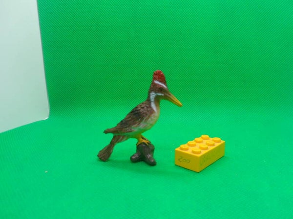 Nayab Specht  Picidae  Woodpecker  pícidos  Дятловые