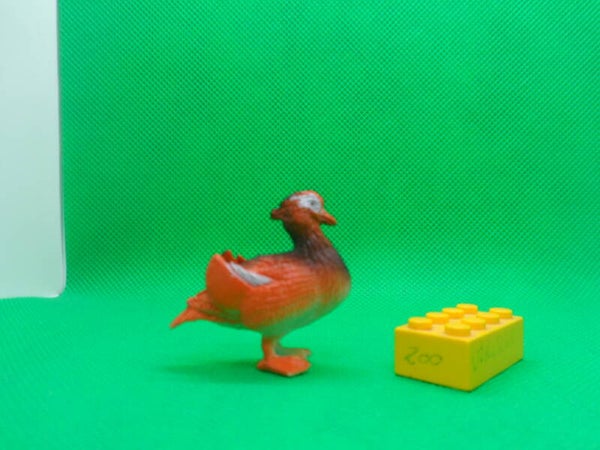 Nayab  Mandarinenente Aix galericulata  mandarin duck  Canard mandarin  Мандаринка   pato mandarín