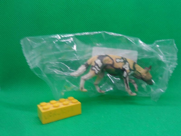 Toymany Afrikanischer Wildhund  Lycaon pictus  African wild dog   perro salvaje africano Lycaon  Гиеновидная собака