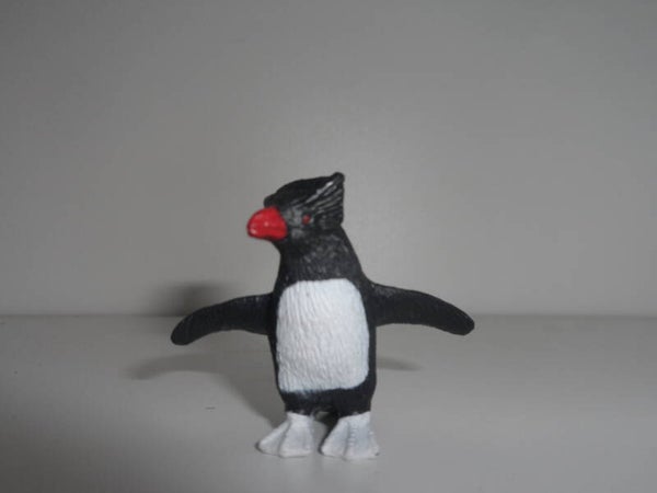 K&M  Felsenpinguin    Rockhopper  penguin