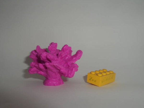 National Geographic Koralle coral  pink