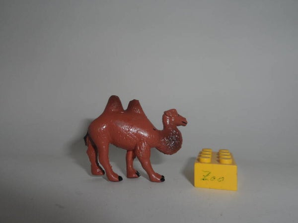 Panini   Kamel  Camel