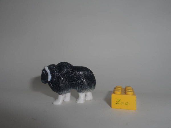 Panini Alaska - Moschusochse  musk ox