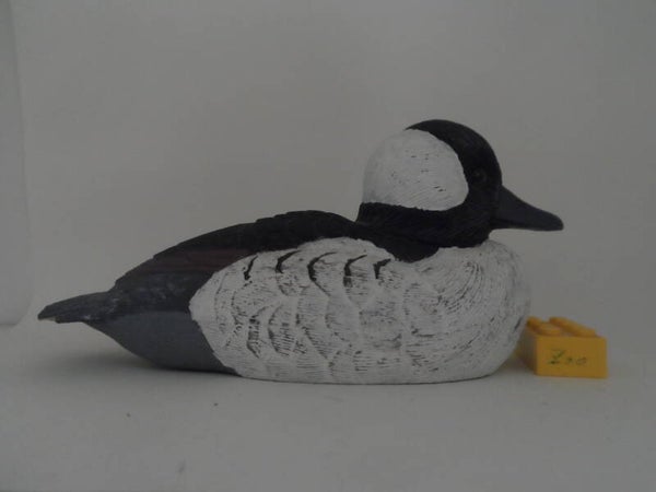 Büffelkopfente Bufflehead duck