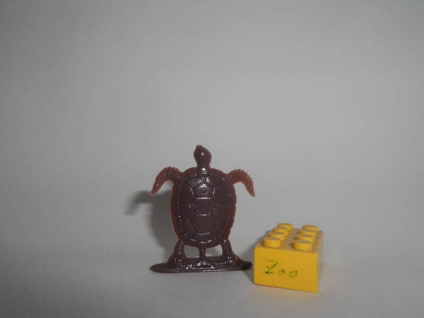 Nosco  Schildkröte   turtle