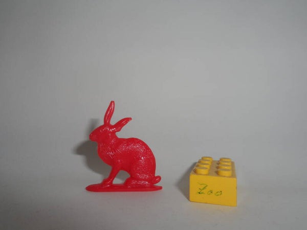 Nosco  Hase   Rabbit