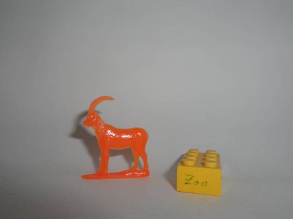 Nosco  Steinbock  ibex