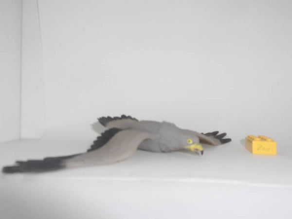 DeAgostini   Raubadler    Tawny eagle