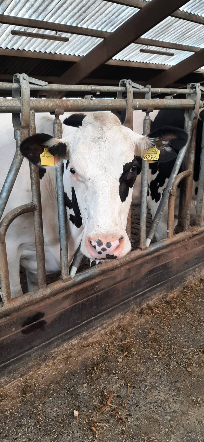 Wat staat er te gebeuren?