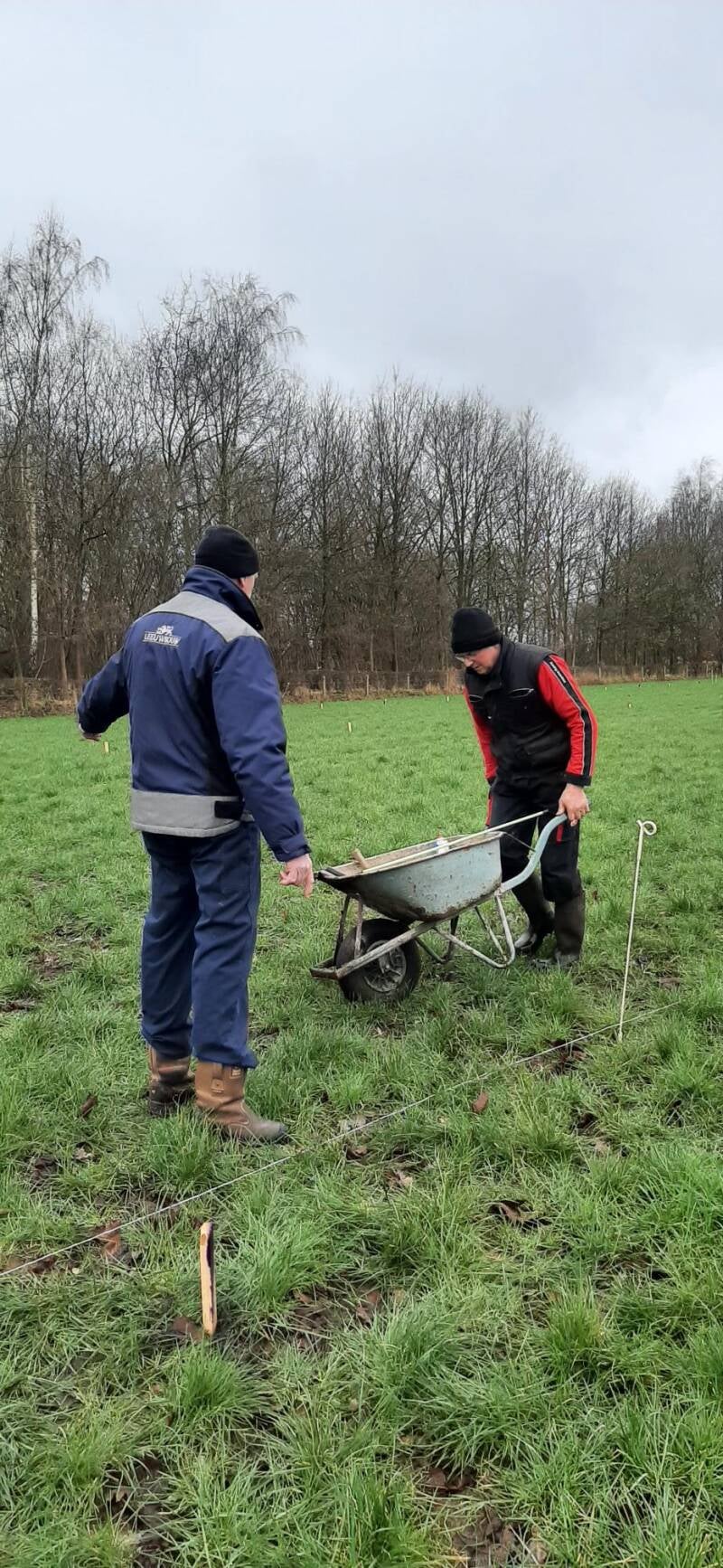 Het uitzetten van de plekken