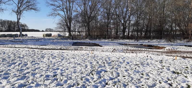 En toen werd alles wit...