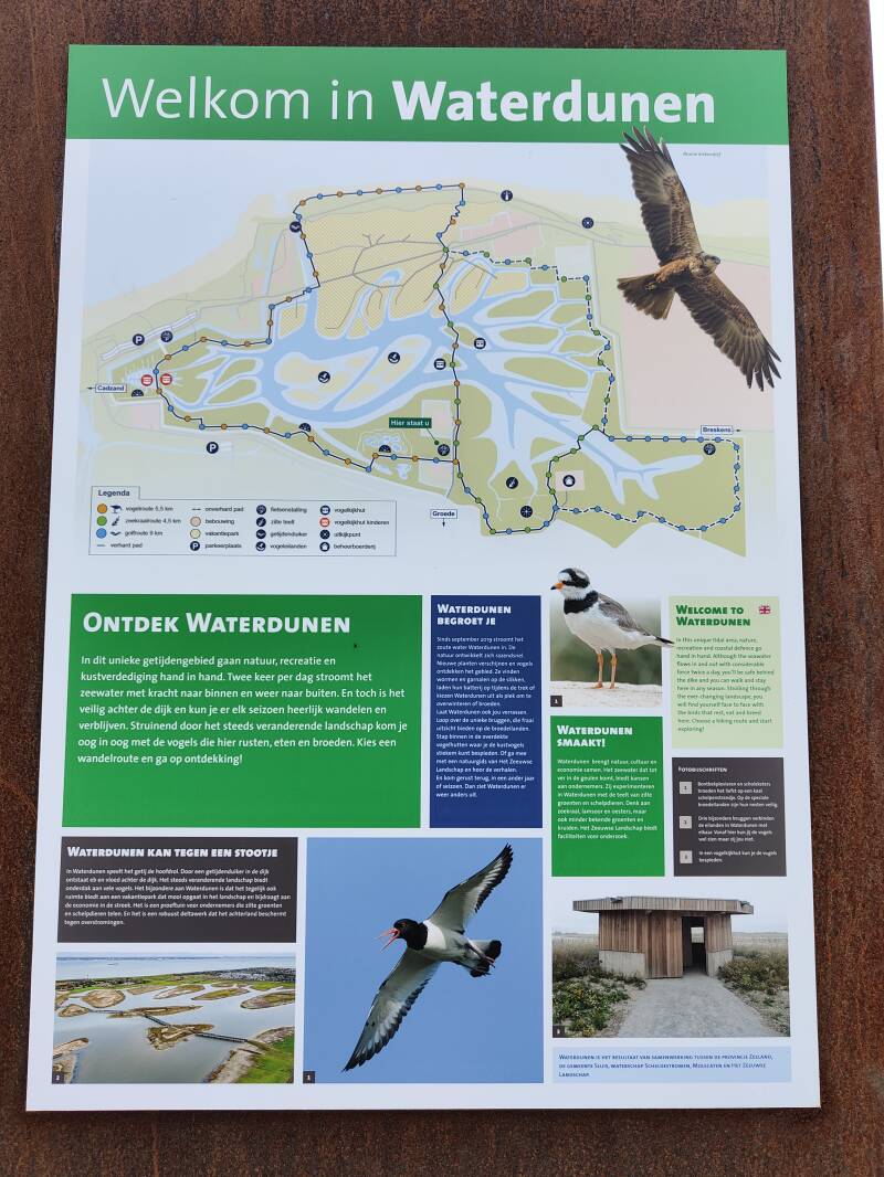 waterdunen
