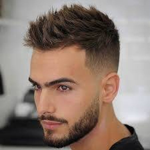 Herren