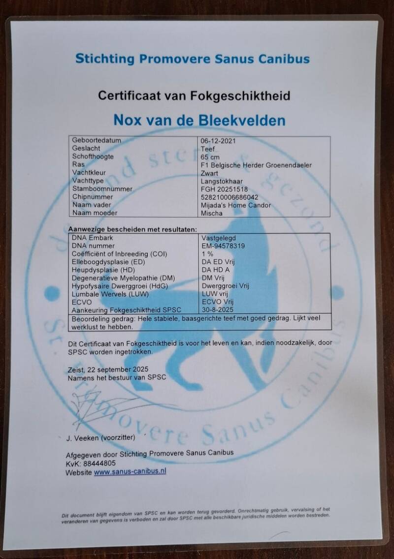 1000044362-high-standard.jpg