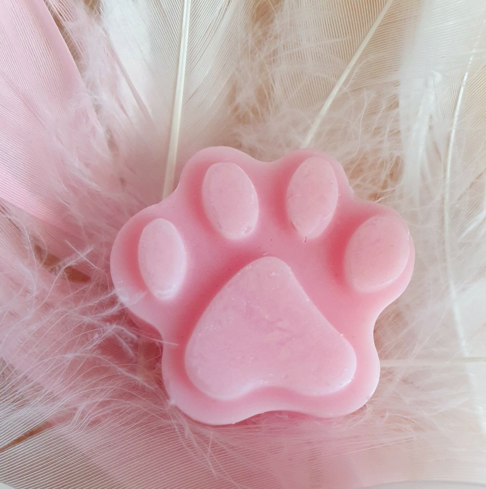 Fondant Parfumé Patte chien / chat