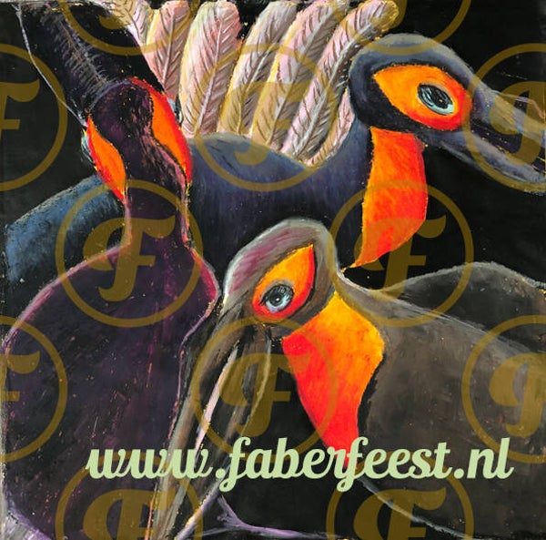 Zwarte Hoornraaf / Southern Ground Hornbil