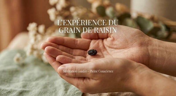 méditation guidée, l'expérience du grain de raisin (10min)