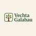 Vechta Galabau