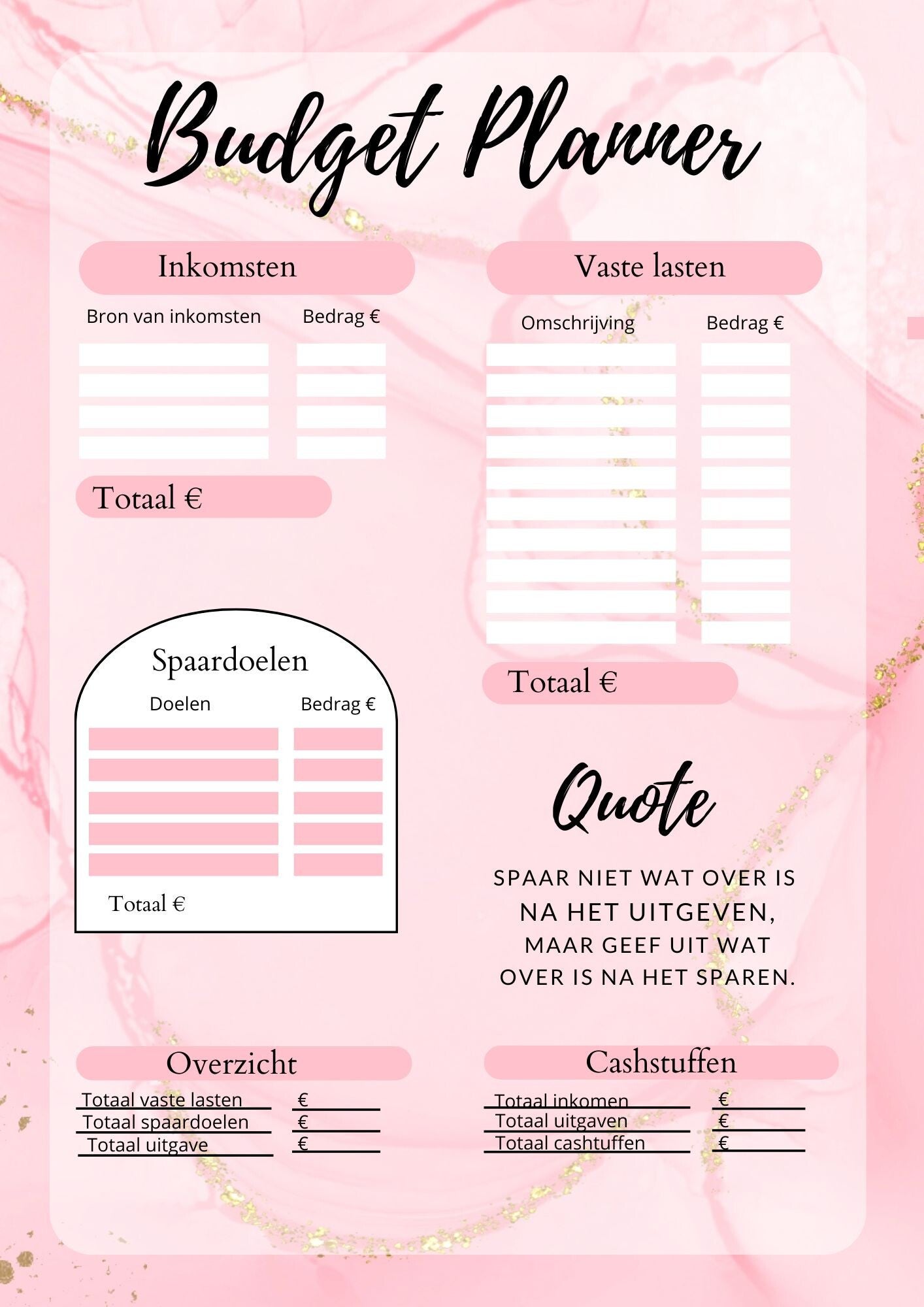 Budget Planner Marble pink