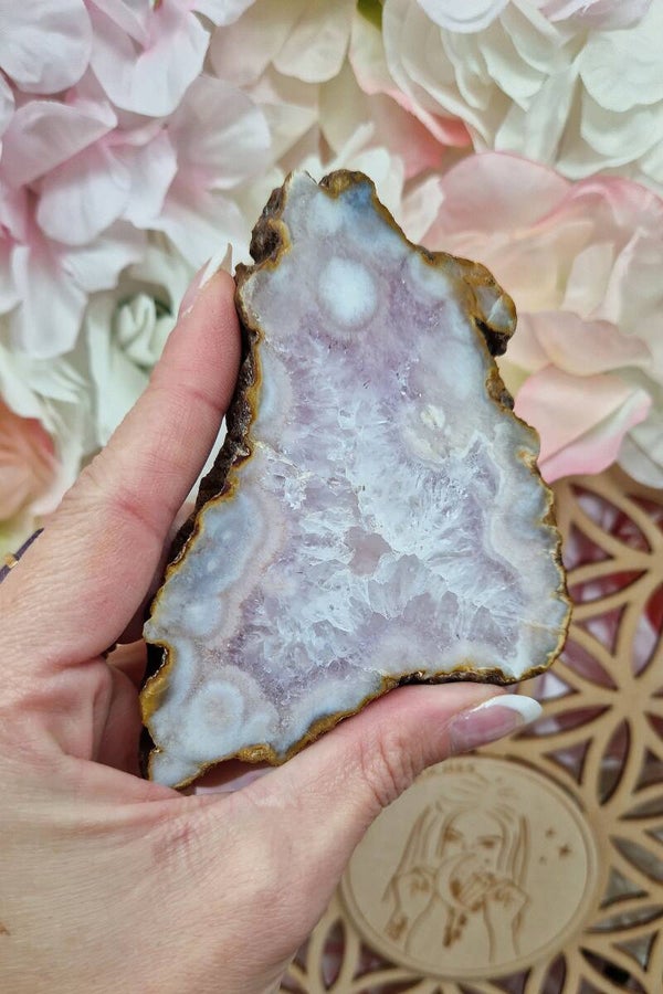 Tranche Améthyste Agate Fleur
