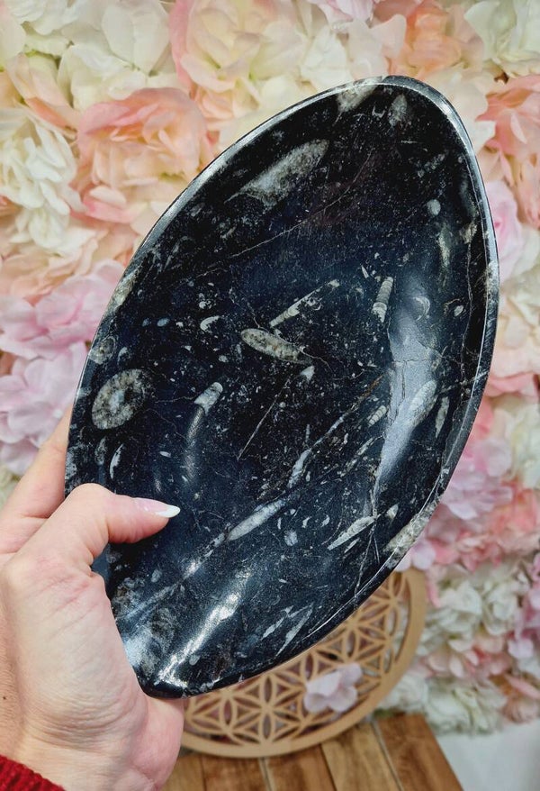 Coupelle Orthocérat