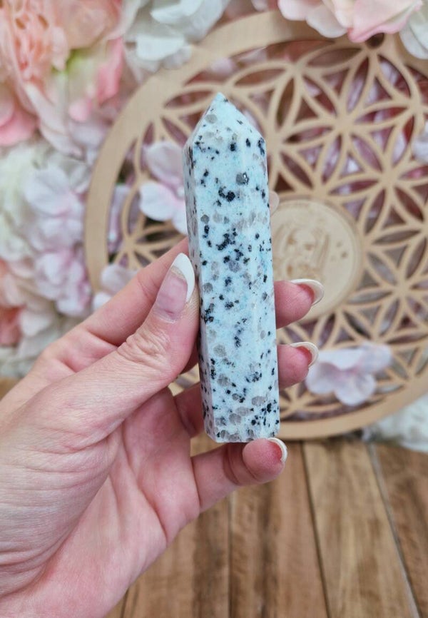 Pointe de Jaspe kiwi