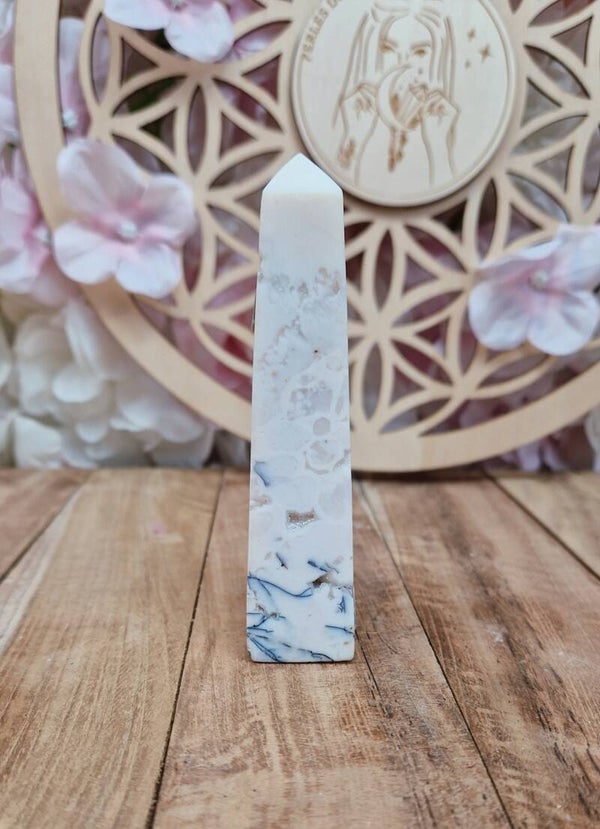 Pointe Agate neige 74