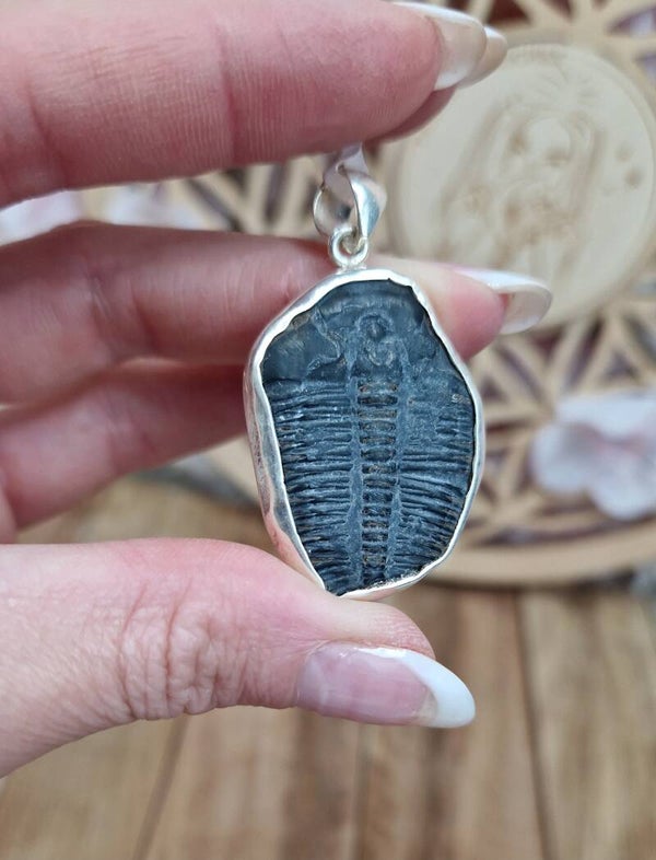 Pendentif trilobite S925