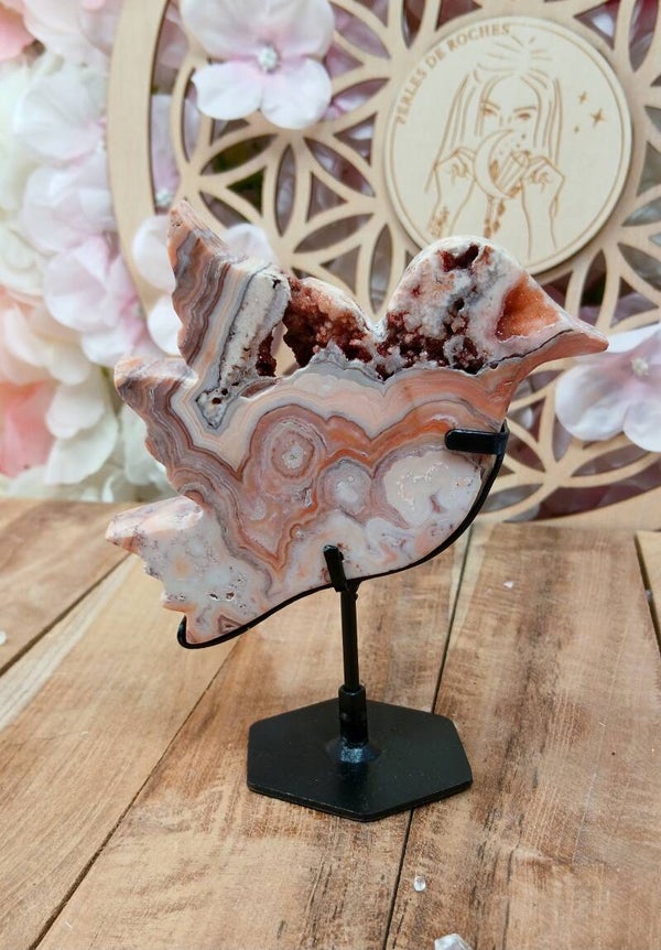 Oiseau en Agate crazy lace