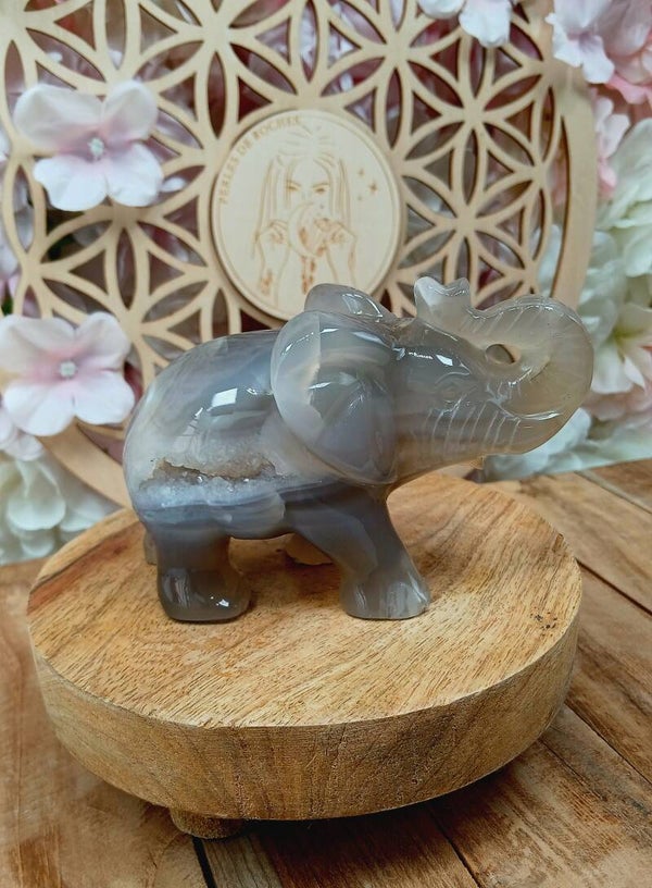Éléphant en Agate 1