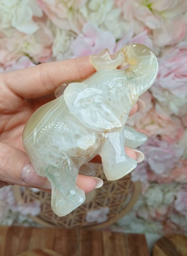 Éléphant en agate 5