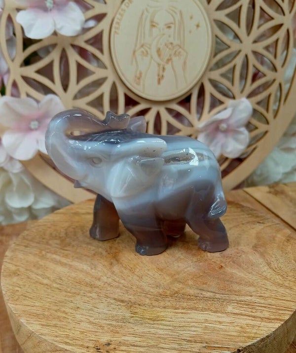 Éléphant en agate 7