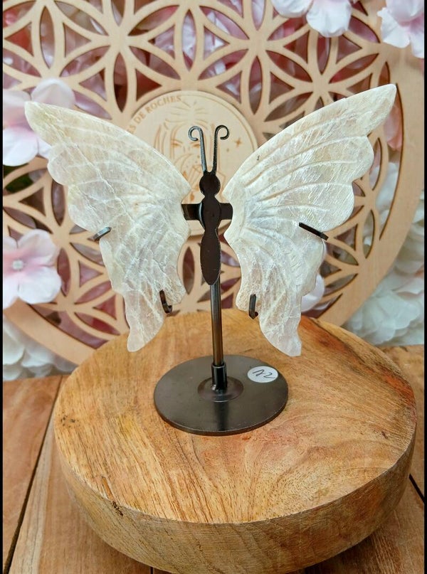 Papillon en Pierre de Lune blanche