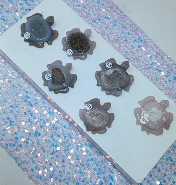 Tortue en Agate à choisir